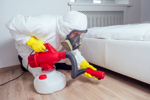 Best Residential Pest Control  in Boyne City, MI